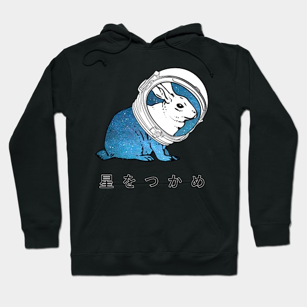 reach for the stars Hoodie by ciciyu